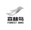 森林鸟  FOREST BIRD