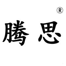腾思logo