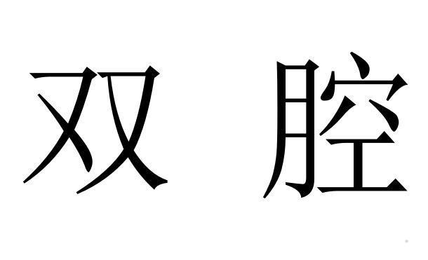 双腔logo