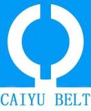 CAIYU BELT