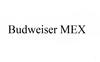 BUDWEISER MEX5427589632類-啤酒飲料1764