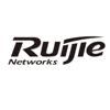 RUIJIE NETWORKS科学仪器