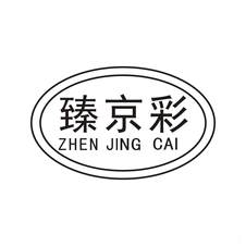 臻京彩logo