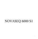 NOVASEQ 6000 S1