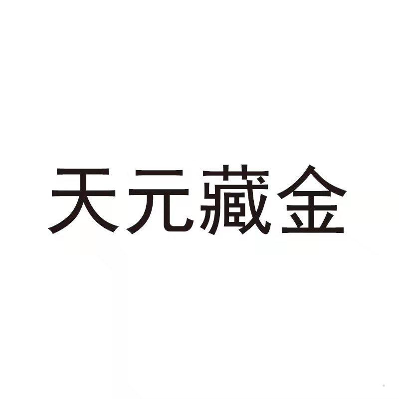 天元藏金logo