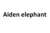 AIDEN ELEPHANT