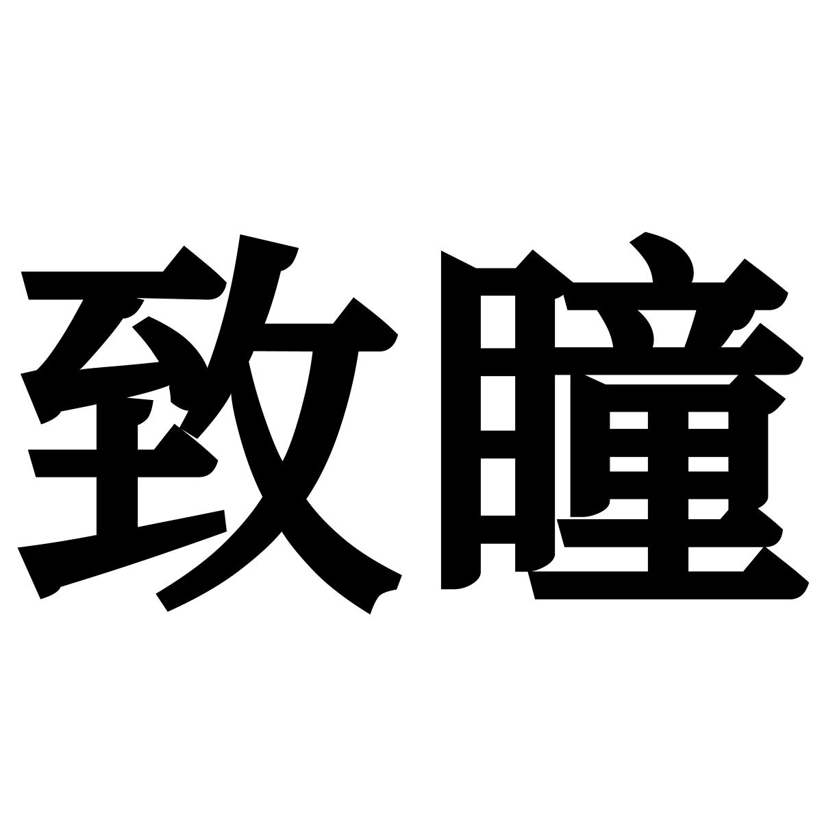 致瞳logo