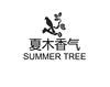 夏木香气 SUMMER TREE燃料油脂