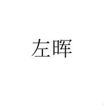 左晖logo