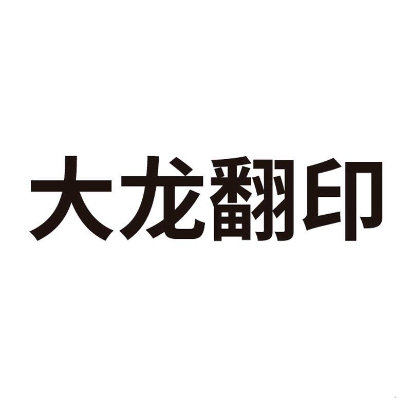 大龙翻印logo