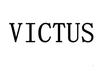 VICTUS网站服务