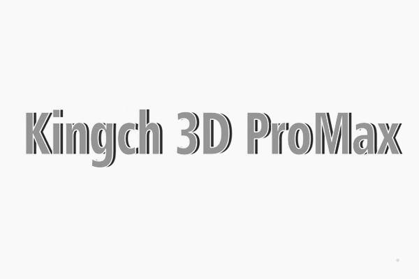 KINGCH 3D PROMAXlogo