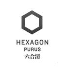 六合清HEXAGON PURUS 