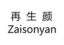 再生颜 ZAISONYAN-第11类-灯具空调