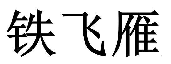 铁飞雁logo