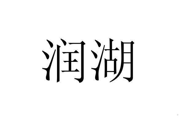 润湖logo