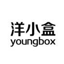 洋小盒 YOUNGBOX