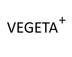 VEGETA+皮革皮具