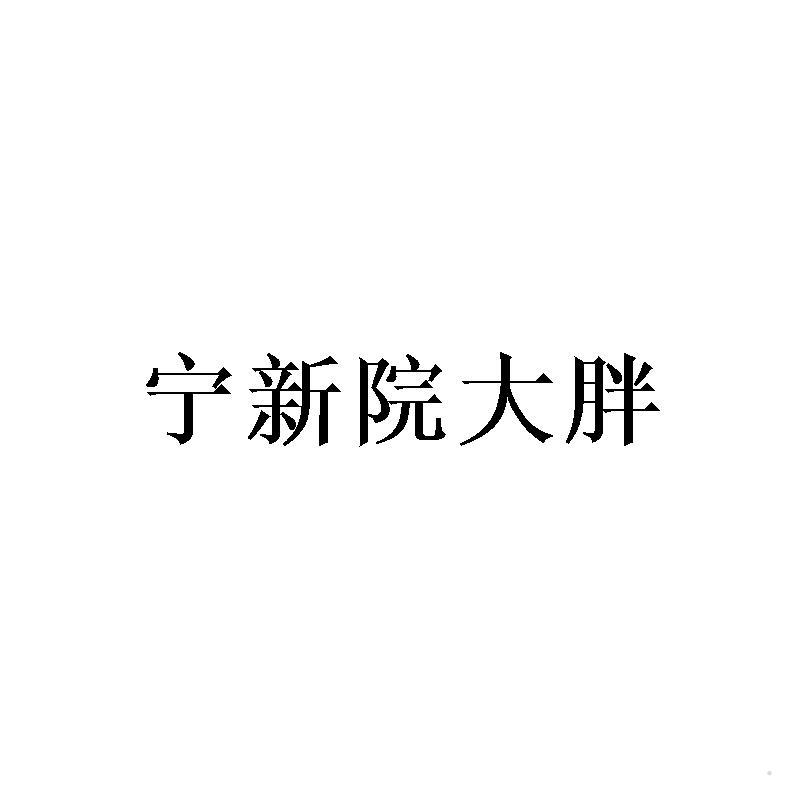宁新院大胖logo