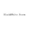 BLACK&WHITE STORM灯具空调