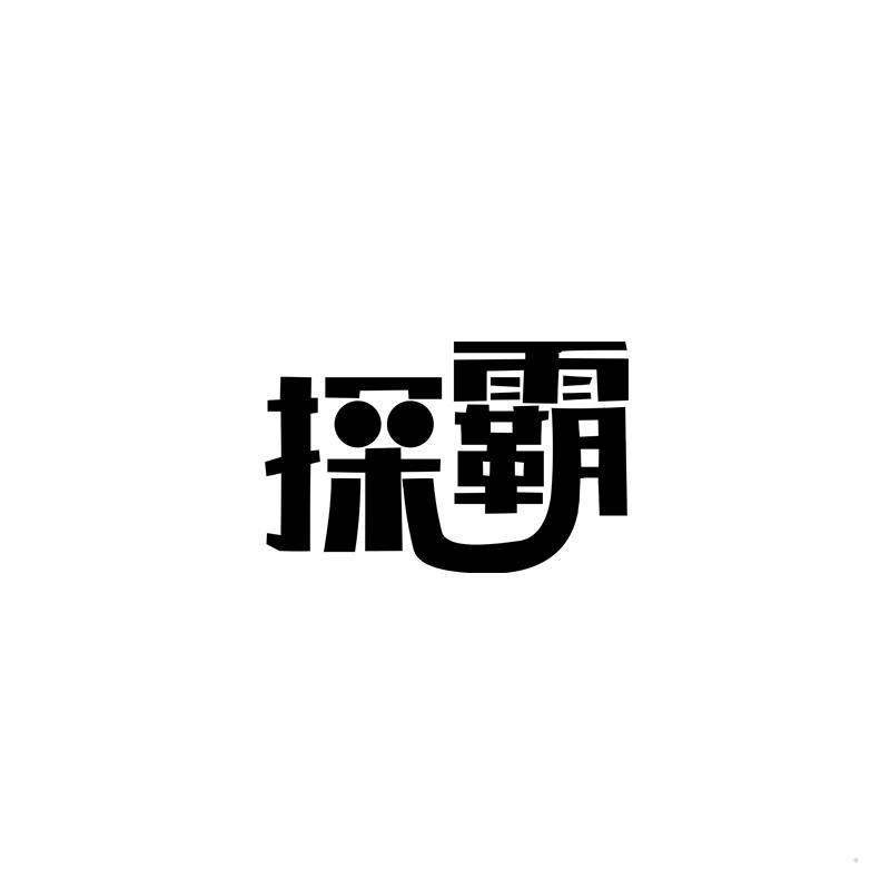 探霸logo