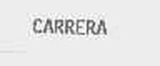 CARRERA-第3类-日化用品