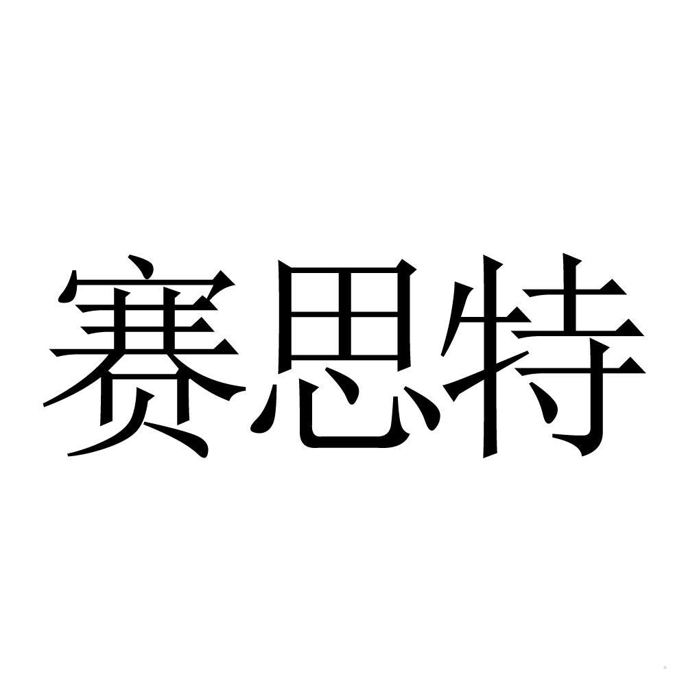 赛思特logo