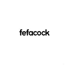 FEFACOCK-第9类-科学仪器