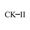 CK-II广告销售