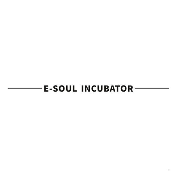 E-SOUL INCUBATORlogo