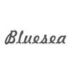 BLUESEA社会服务