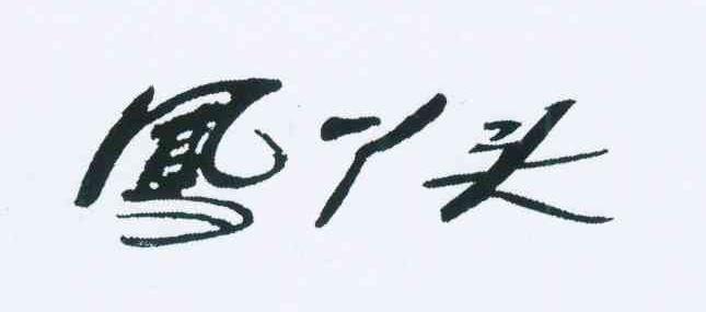 凤丫头logo
