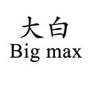 大白 BIG MAX