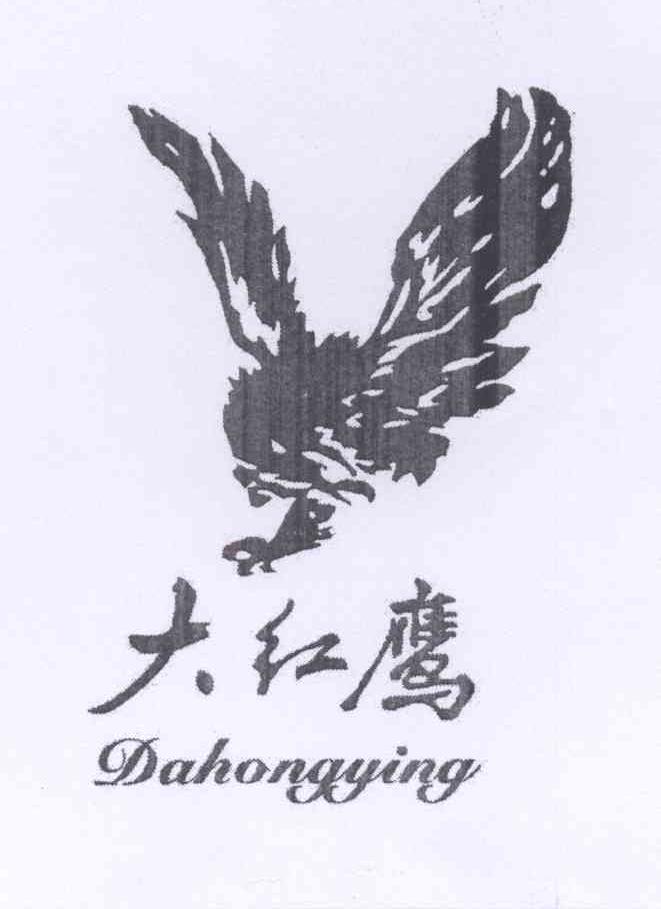 大红鹰logo