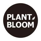 PLANT BLOOM