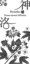 洛神  ROSELLE THREE SEVENT FLOWERS