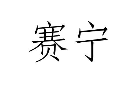 赛宁logo