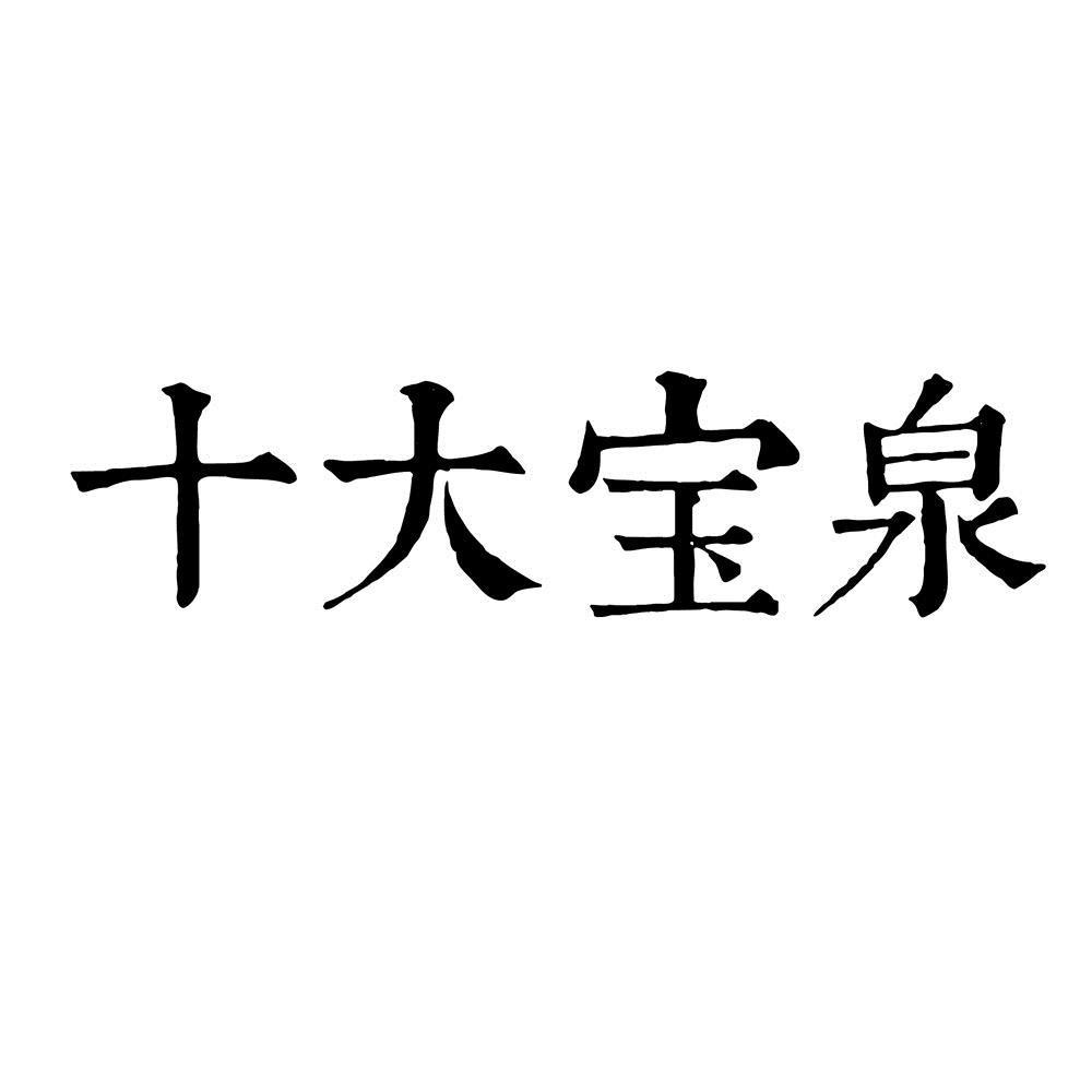 十大宝泉logo