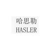 哈思勒 HASLER机械设备