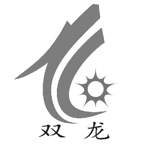 双龙logo