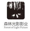 森林光影影业 FOREST OF LIGHT PICTURE广告销售