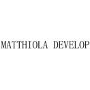 MATTHIOLA DEVELOP