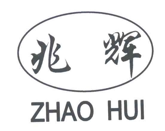 兆辉;ZHAO HUIlogo