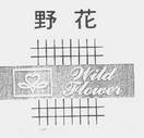 野花   WILDFLOWER
