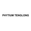 PHYTIUM TENGLONG网站服务