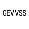 GEVVSS科学仪器