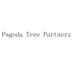 PAGODA TREE PARTNERS 金融物管