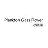 水晶藻 PLANKTON GLASS FLOWER日化用品