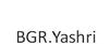 BGR.YASHRI网站服务