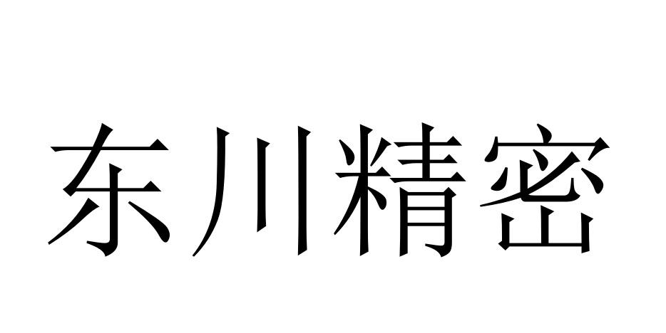 东川精密logo